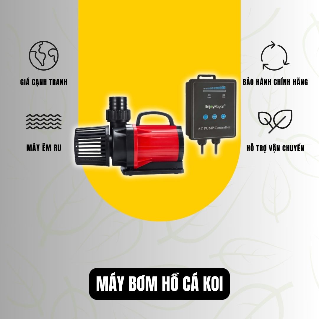 Máy Bơm Hồ Cá Koi