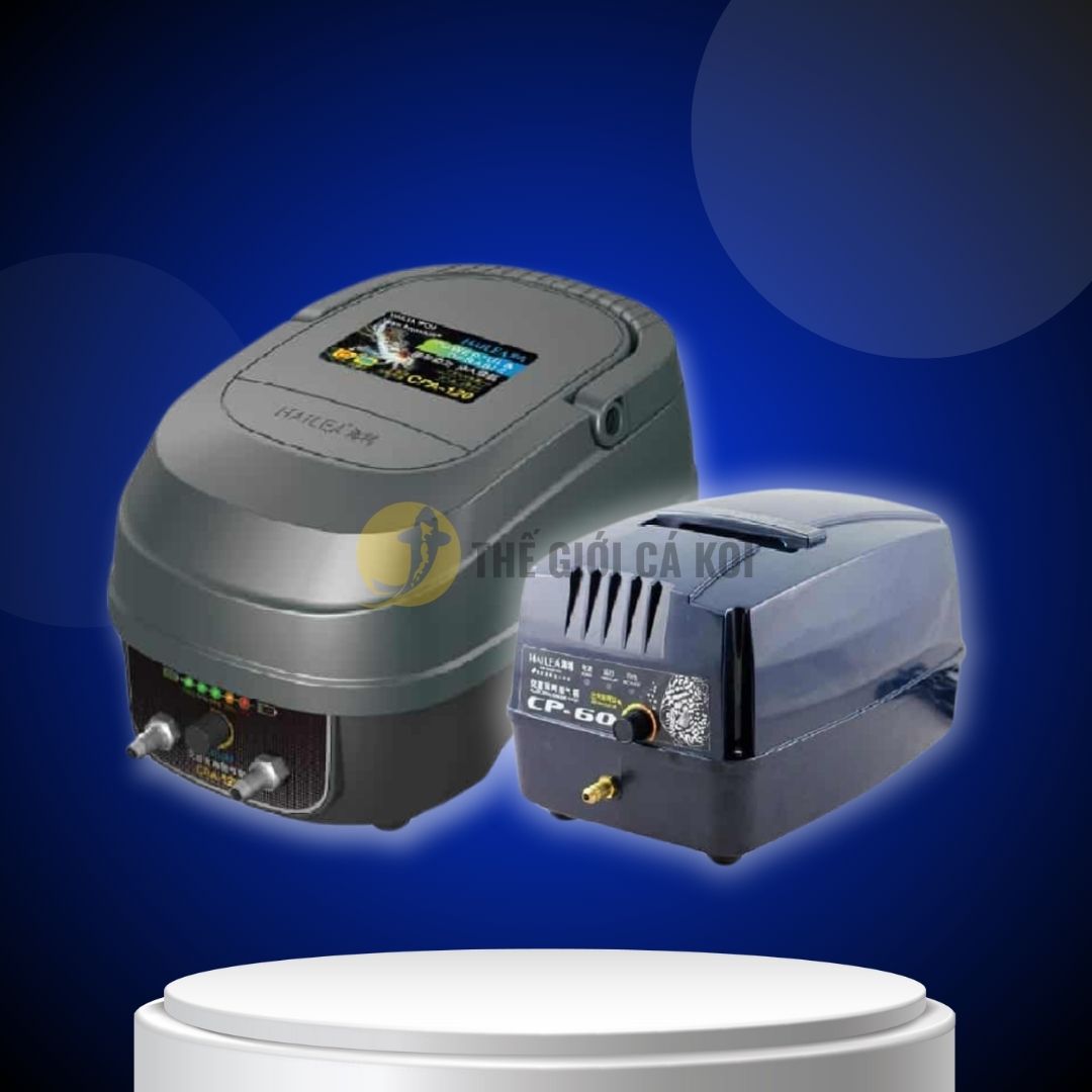Sủi oxy tích điện hailea cp