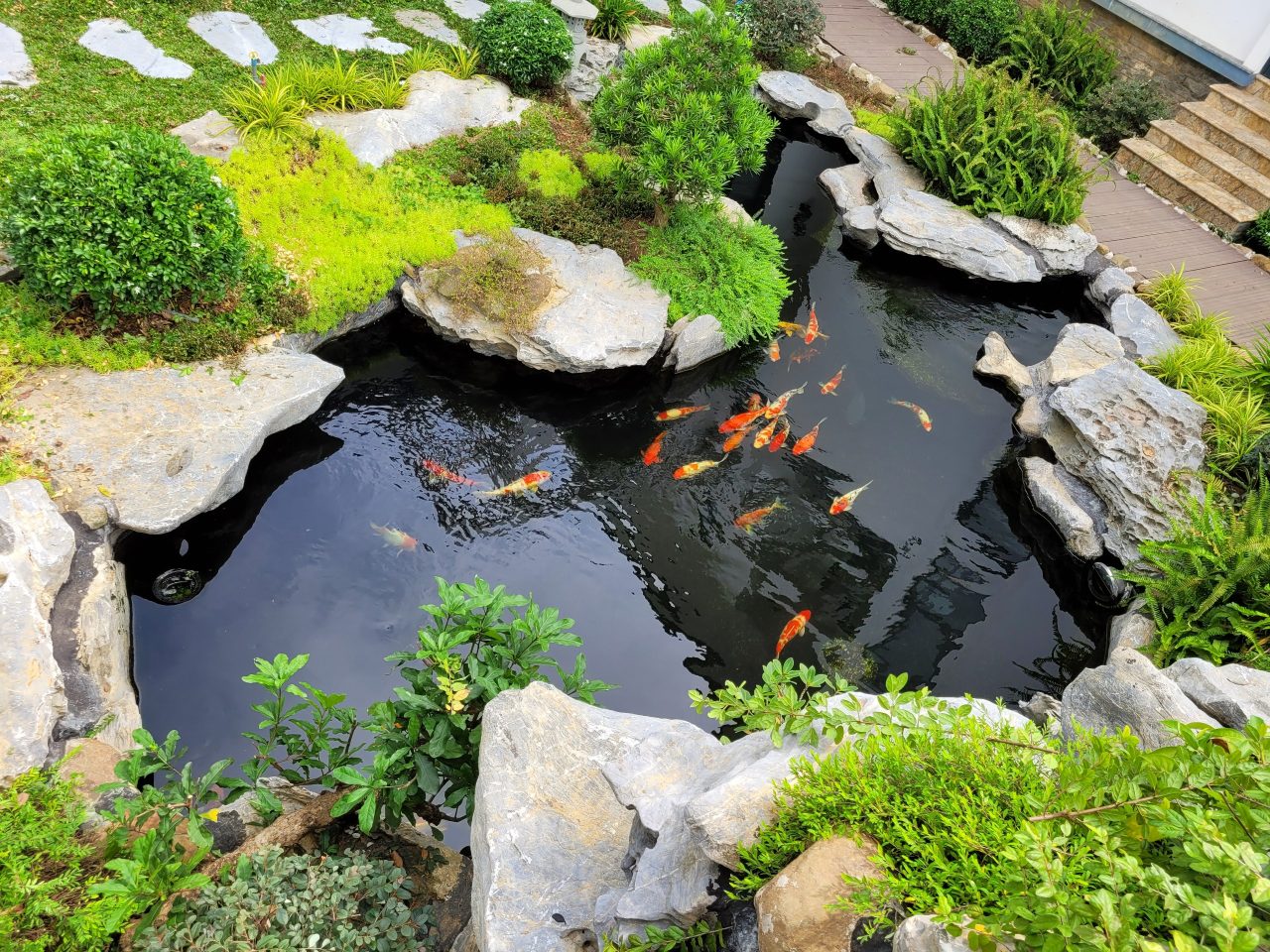 Thiết Kế Thi Công Tiểu Cảnh Đẹp, Chuyên Nghiệp